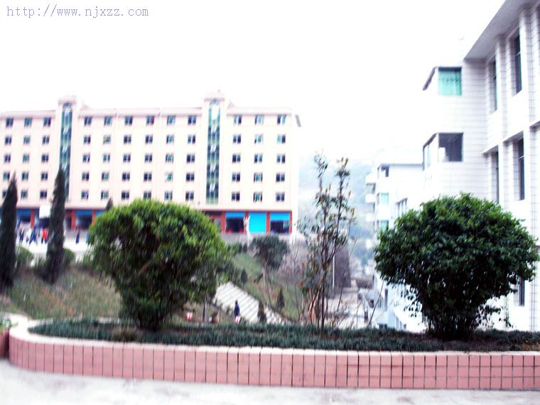 20050408151010570
