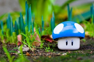 成都華夏旅游商務學校2020年報名條件、招生對象