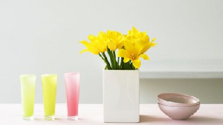 成都金海洋創(chuàng)意產(chǎn)業(yè)職業(yè)技術(shù)學(xué)校怎么樣？是什么辦學(xué)性質(zhì)？