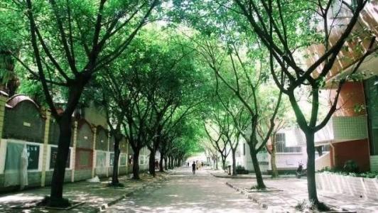 四川護(hù)理職業(yè)學(xué)院校園環(huán)境