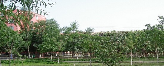 和田師范?？茖W(xué)校(幼教)全國排名是多少，好不好？