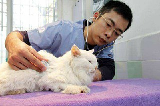 成都衛(wèi)生學(xué)校對(duì)于學(xué)生的就業(yè)保障是怎么樣的?