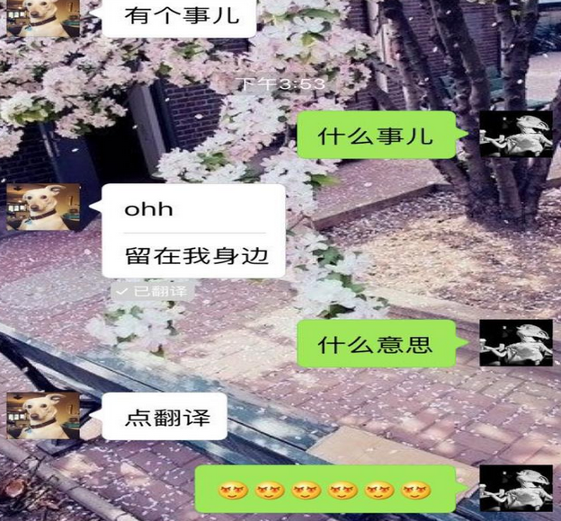 2020年表白套路對話超甜情話（兩篇）