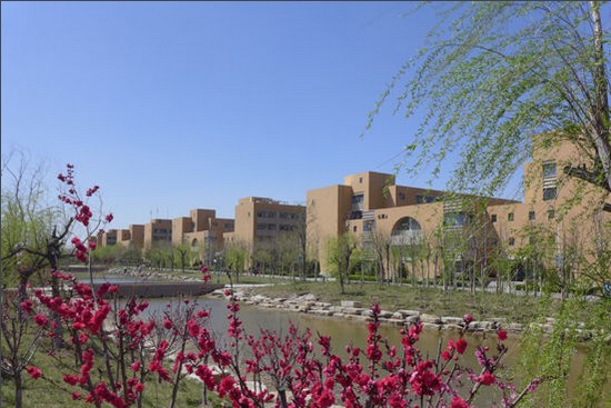 東營職業(yè)學(xué)院招生錄取分數(shù)線