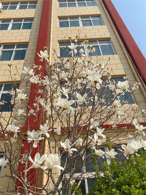 山東煤炭技師學(xué)院：春暖花開(kāi)美校園，不忘初心育新人
