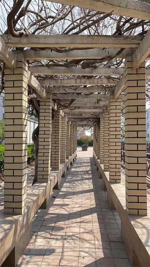 山東煤炭技師學(xué)院：春暖花開(kāi)美校園，不忘初心育新人