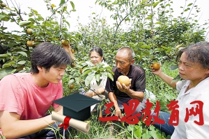 2020年重慶大學(xué)生村官報(bào)考條件及村官工資待遇標(biāo)準(zhǔn)