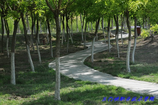 三門峽職業(yè)技術(shù)學(xué)院招生錄取分?jǐn)?shù)線