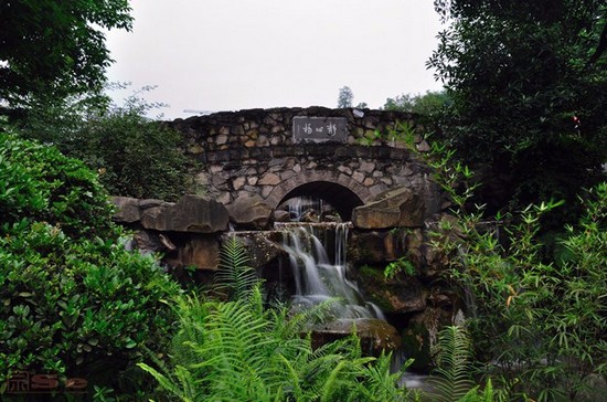 重慶理工大學(xué)醫(yī)學(xué)院有哪些專業(yè)及什么專業(yè)好