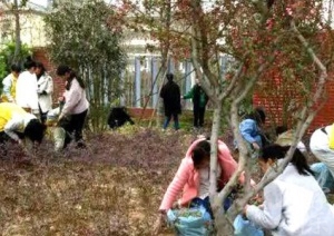 亳州市幼兒師范學校
