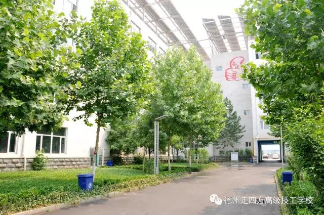 航海類(lèi)專(zhuān)業(yè)前景怎么樣？