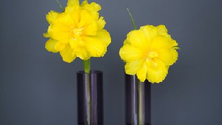 成都職業(yè)技術(shù)學(xué)校的軟件工程就業(yè)方向介紹