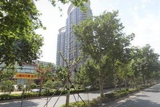 北京光明中醫(yī)學(xué)院全國(guó)排名是多少，好不好？