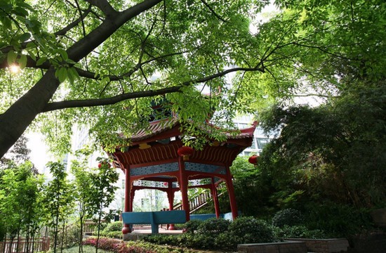 重慶護(hù)理職業(yè)學(xué)院全國(guó)排名是多少，好不好？