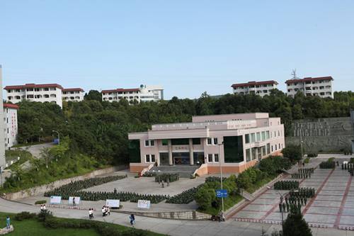 四川幼兒師范高等?？茖W(xué)校2020年招生計劃