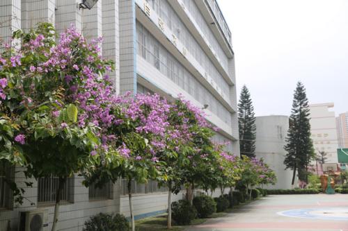 綿陽機電工程學校地址在哪里?