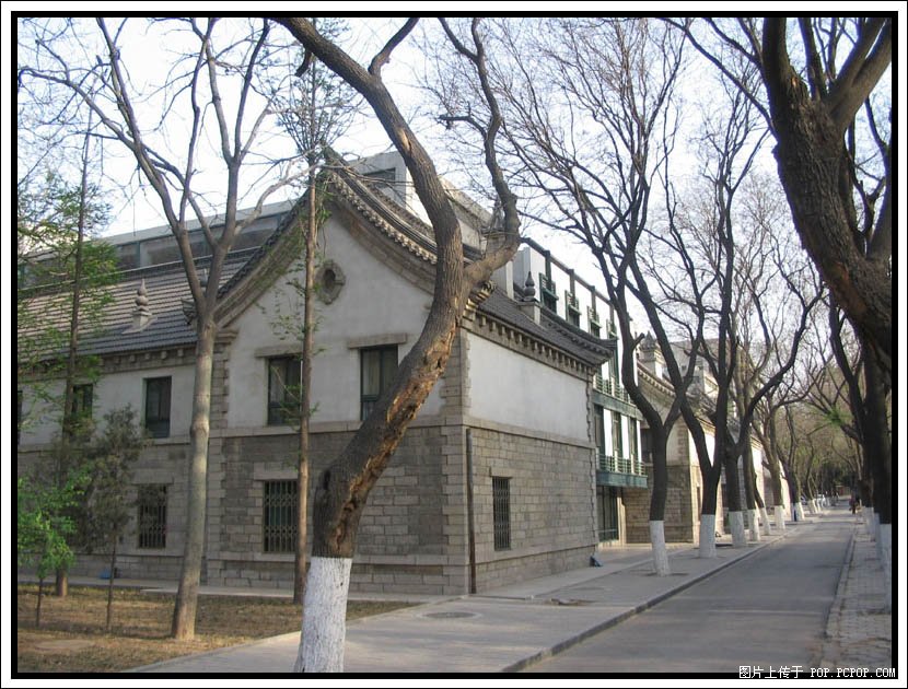 2019年山東大學(xué)自主招生簡章考試科目真題答案和錄取結(jié)果通知書查詢時間