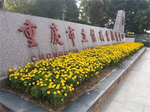 四川中專會(huì)計(jì)專業(yè)學(xué)?？倕R