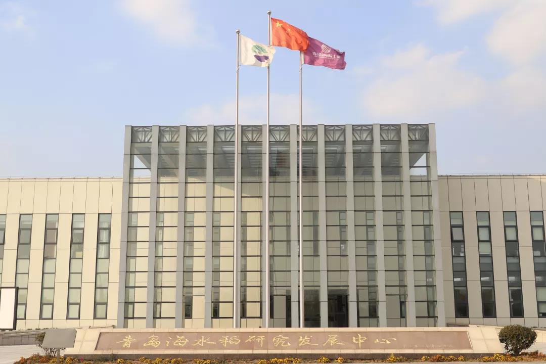 青島恒星職業(yè)技術(shù)學院農(nóng)學院師生前往青島海水稻研究發(fā)展中心參觀學習