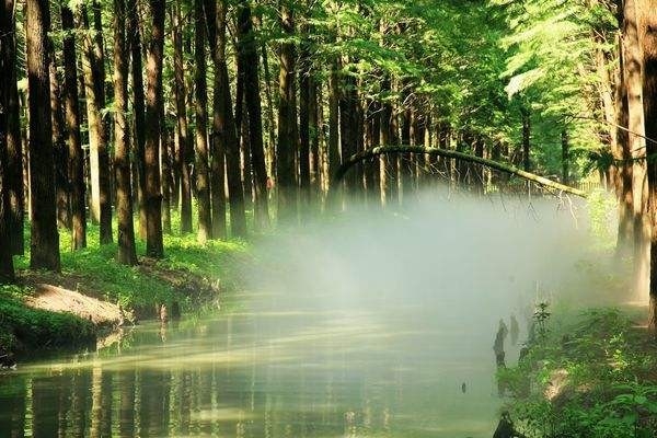 樂(lè)山衛(wèi)生學(xué)校中醫(yī)藥專業(yè)招生【全】