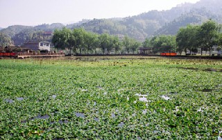 成都市中山職業(yè)技術(shù)學(xué)校學(xué)校怎么樣