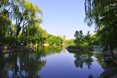 重慶建材技工學(xué)校高鐵乘務(wù)專業(yè)