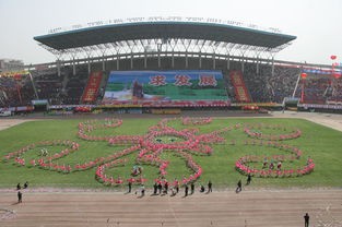 石家莊幼兒師范高等專科學(xué)校網(wǎng)站網(wǎng)址聯(lián)系方式