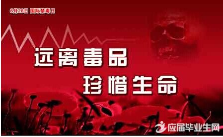 2016國際禁毒日主題標語