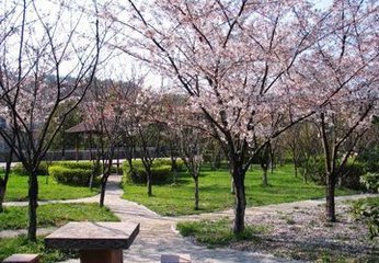 貴陽中醫(yī)學(xué)院花溪新校區(qū)