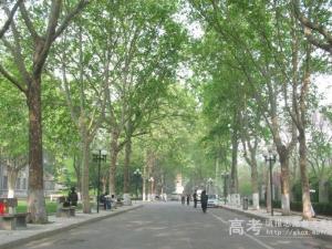 山東師范大學怎么樣 評價排名好不好(10條)