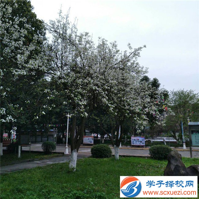 綿陽初中畢業(yè)能上中專學(xué)校嗎