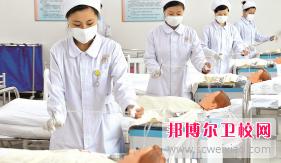 白銀2020年讀衛(wèi)校需要什么證件