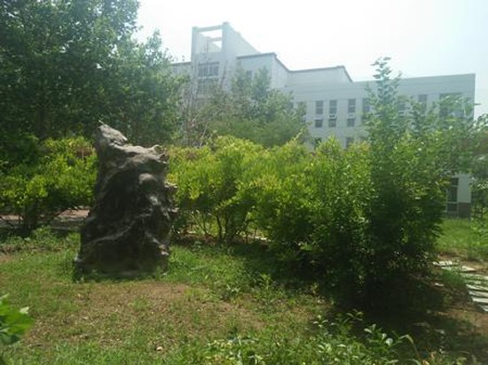 滄州師范學(xué)院在哪里？地址信息介紹