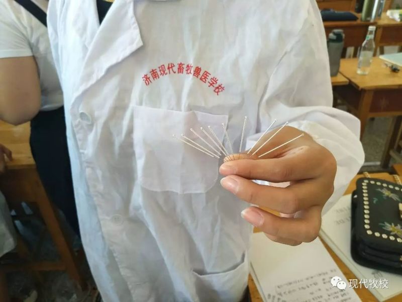 山東現(xiàn)代畜牧獸醫(yī)專修學(xué)校好嗎？畢業(yè)后能找到工作嗎？