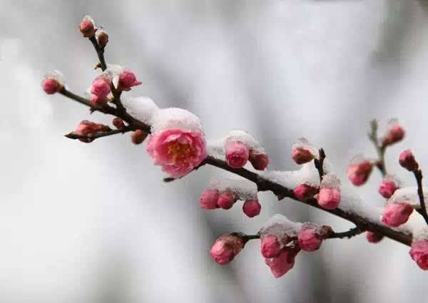 東營貴夫人美容美發(fā)婚紗攝影學(xué)校：常見的攝影構(gòu)圖方法你知道嗎？