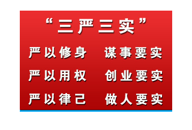 2020年三嚴三實學習體會思想?yún)R報