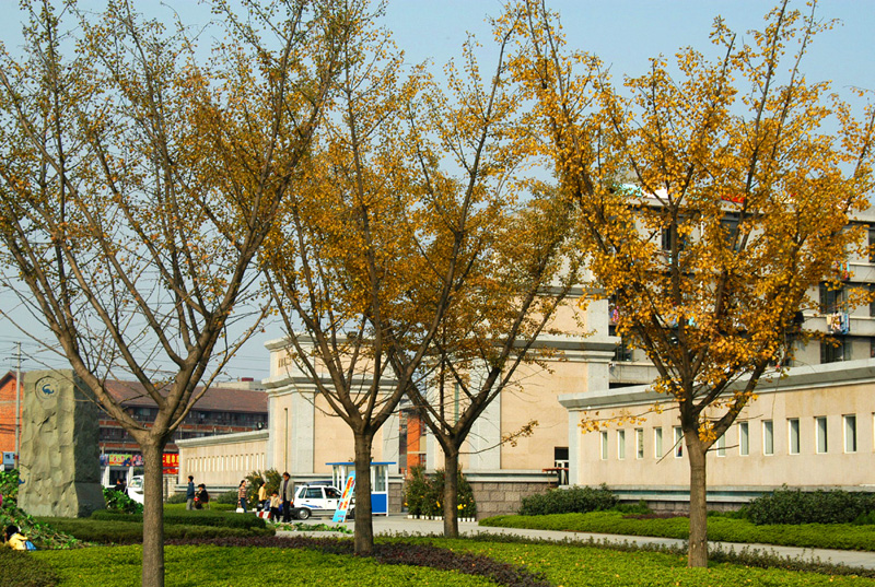 成都理工大學秋日的前校門