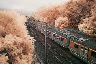 2020年成都華夏旅游商務學校春招生計劃