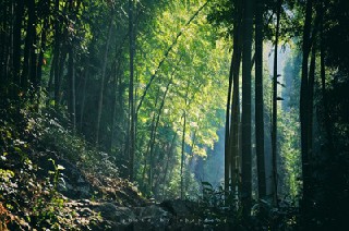 2020年成都華夏旅游商務學校春招生計劃