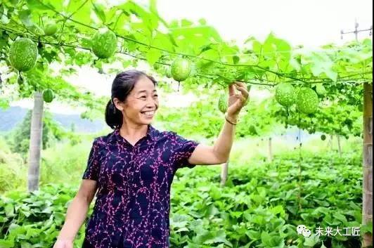 人社部、國務(wù)院扶貧辦聯(lián)合開展深度貧困地區(qū)技能扶貧行動