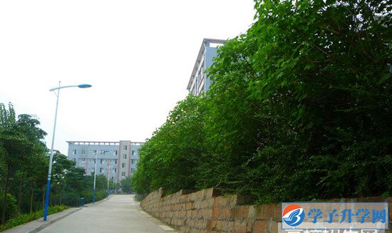 德陽通用電子科技學(xué)校2019有哪些專業(yè)及招生要求