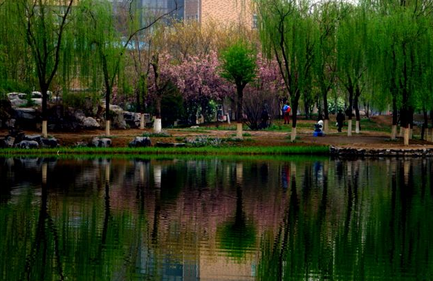 河北科技學(xué)院怎么樣 評價排名好不好(10條)