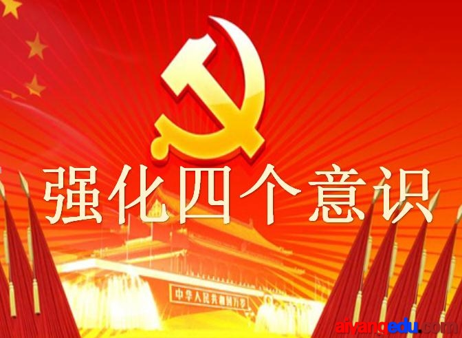 黨員學(xué)系列講話強(qiáng)化四個意識心得體會匯總篇