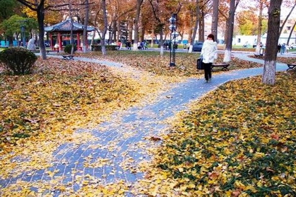 陜西科技大學(xué)怎么樣 評價排名好不好(10條)