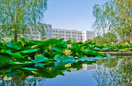 陜西科技大學(xué)怎么樣 評價排名好不好(10條)