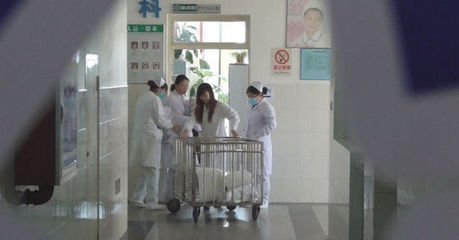 我校學生進入醫(yī)院工作