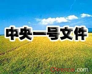 中央一號(hào)文件的內(nèi)容
