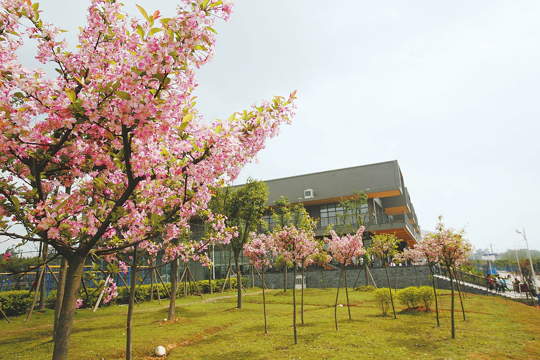 四川師范大學校園環(huán)境