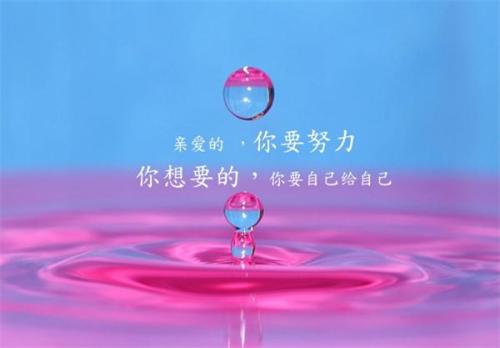 2018山東春季高考可以上本科嗎？
