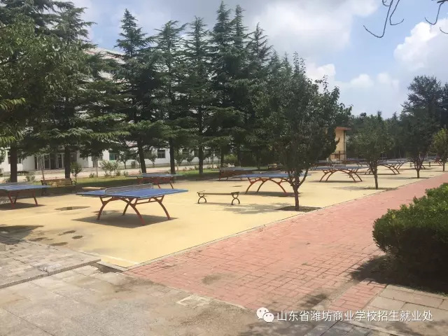 8月25日，濰坊商校開學(xué)啦，我在這里等著你！